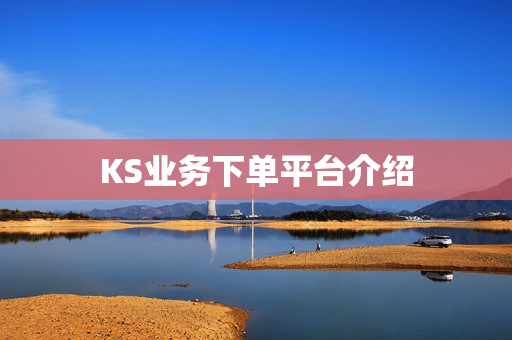 KS业务下单平台介绍