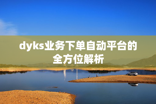 dyks业务下单自动平台的全方位解析