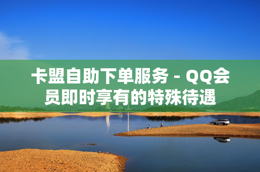 卡盟自助下单服务 - QQ会员即时享有的特殊待遇