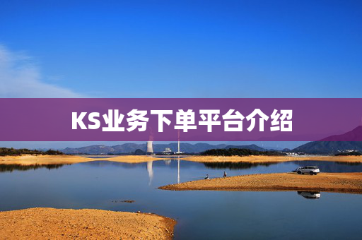 KS业务下单平台介绍