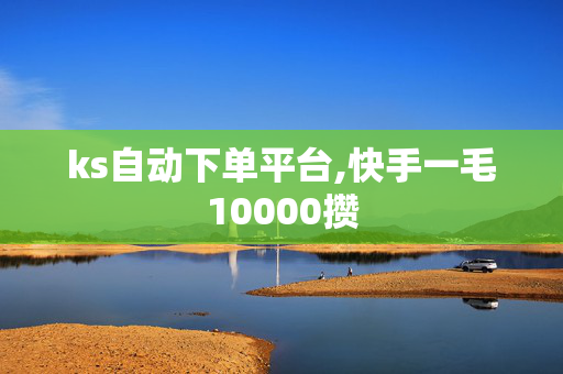 ks自动下单平台,快手一毛10000攒