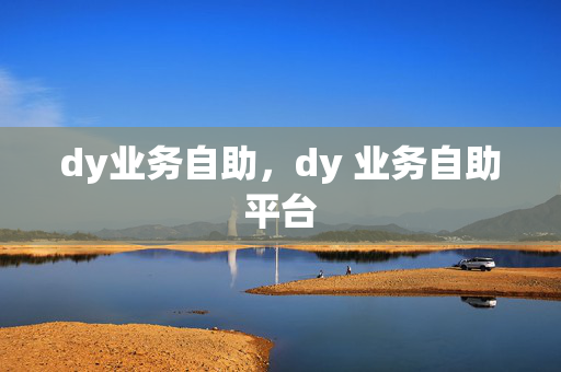 dy业务自助，dy 业务自助平台