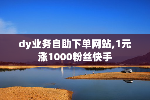 dy业务自助下单网站,1元涨1000粉丝快手