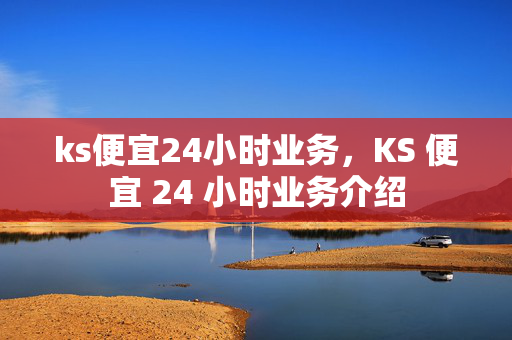 ks便宜24小时业务，KS 便宜 24 小时业务介绍