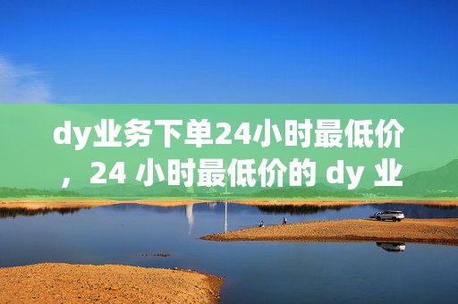 dy业务下单24小时最低价，24 小时最低价的 dy 业务下单