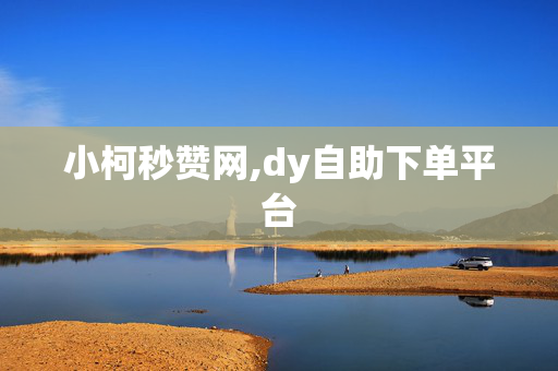 小柯秒赞网,dy自助下单平台