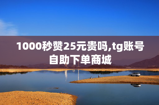 1000秒赞25元贵吗,tg账号自助下单商城