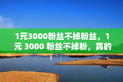 1元3000粉丝不掉粉丝，1 元 3000 粉丝不掉粉，真的假的？，直接引用了文本中的关键信息，即 1 元 3000 粉丝且不掉粉，同时用疑问的方式引起读者的兴趣，让他们想要了解更多关于这个话题的内容。