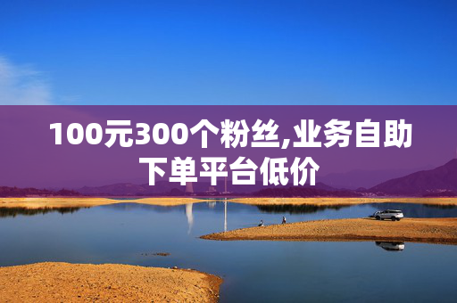 100元300个粉丝,业务自助下单平台低价