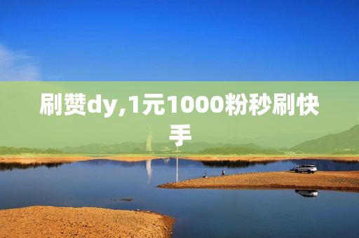 刷赞dy,1元1000粉秒刷快手