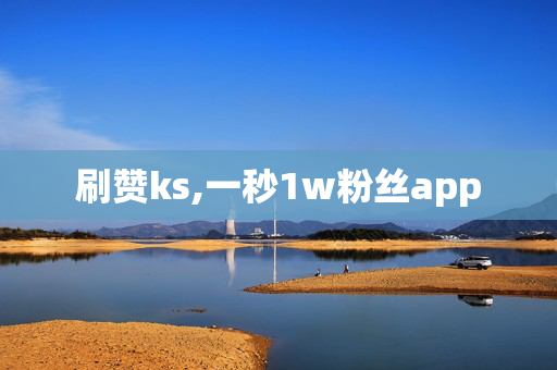 刷赞ks,一秒1w粉丝app