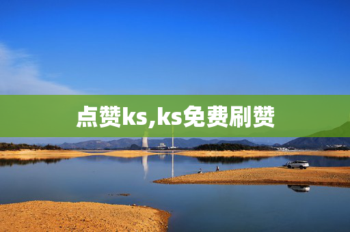 点赞ks,ks免费刷赞