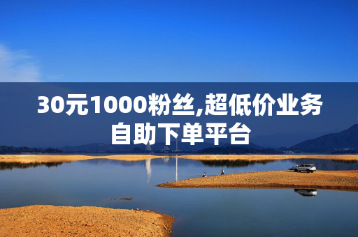 30元1000粉丝,超低价业务自助下单平台