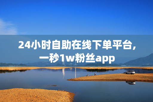 24小时自助在线下单平台,一秒1w粉丝app