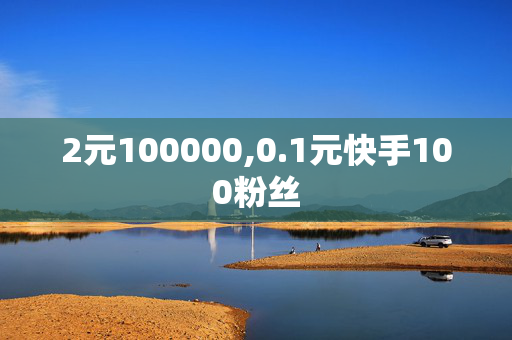 2元100000,0.1元快手100粉丝