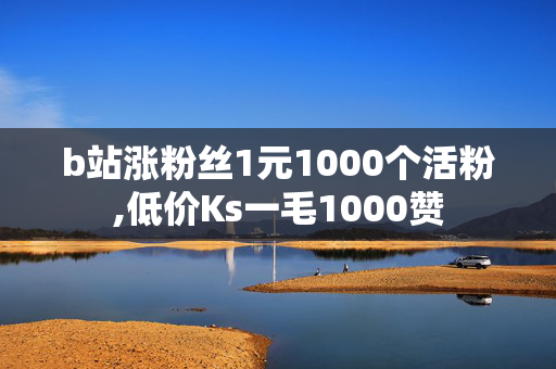 b站涨粉丝1元1000个活粉,低价Ks一毛1000赞