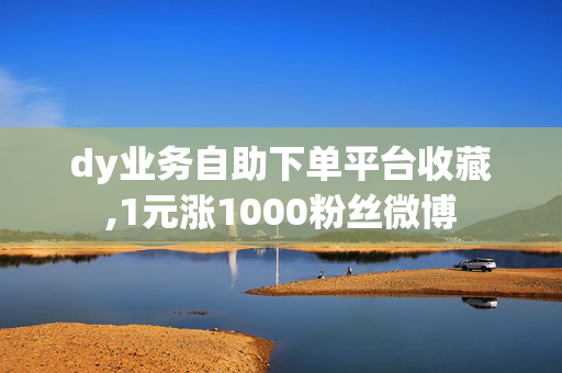 dy业务自助下单平台收藏,1元涨1000粉丝微博