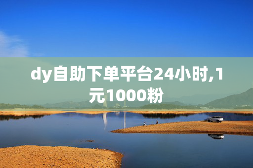 dy自助下单平台24小时,1元1000粉